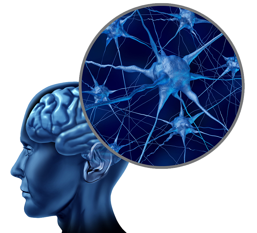 how does tms work